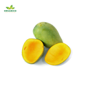 Himsagor Mango